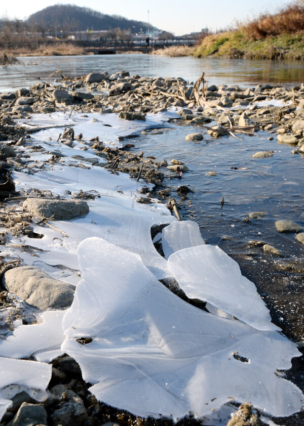 지난달 한파로 얼어 붙은 대전의 갑천. 사진=이슬기 기자