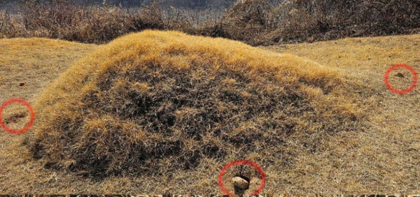 이재명 더불어민주당 대표가 페이스북에 공개한 경북 봉화의 부모 묘소 현장 사진. 이재명 더불어민주당 대표 페이스북