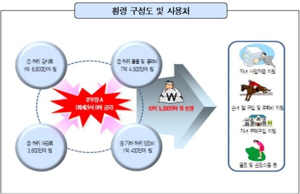 횡령 구성도 및 사용처. 감사원