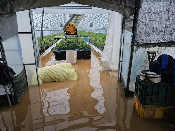 17일 오전 수해를 입은 충남 논산시 한 비닐하우스의 모습. 이현정 기자