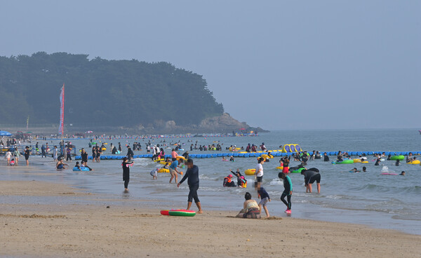 충남 보령 해수욕장. 세종일보 DB