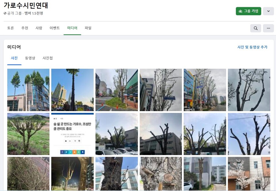 페이스북 그룹 가로수시민연대 캡쳐