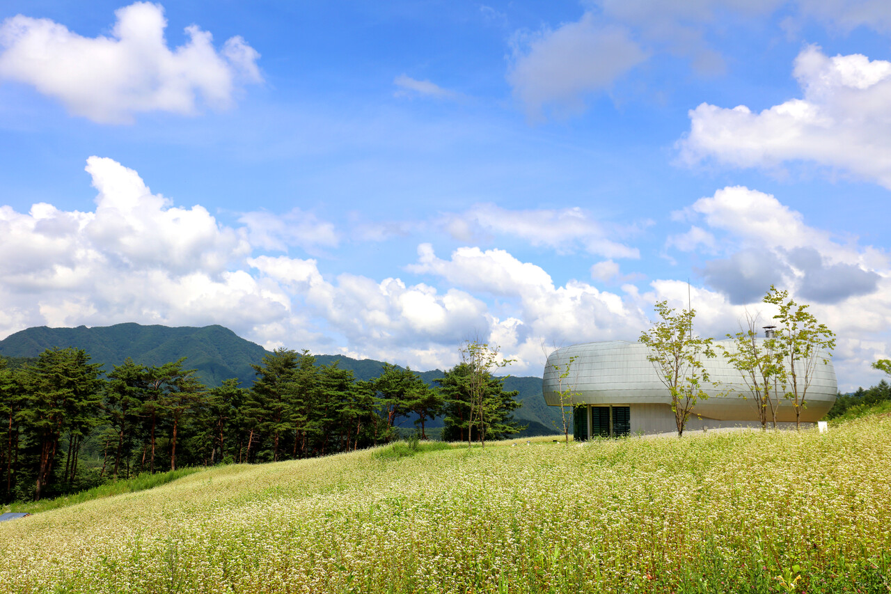 시드볼트 전경 사진제공 = 한국수목원정원관리원(한수정)