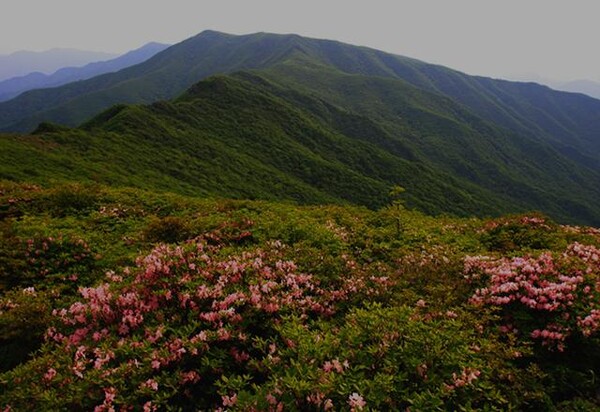 소백산 관련 자료사진