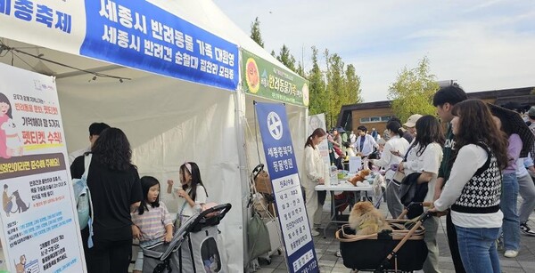 2024 세종축제 반려동물 지원부스 