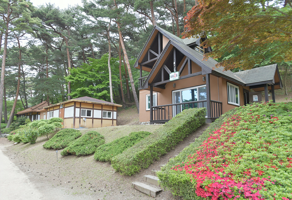 안면도자연휴양림