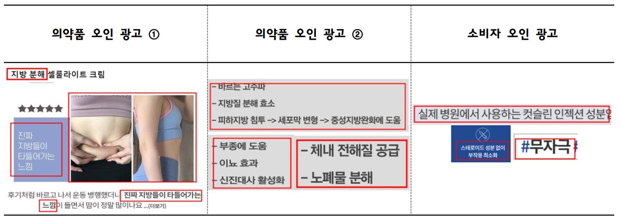 식약처에서 공개한 다이어트 관련 화장품의 표시·광고 위반 유형 및 광고 문구