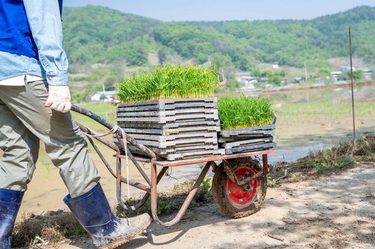 농촌 관련 자료사진 아이클릭아트
