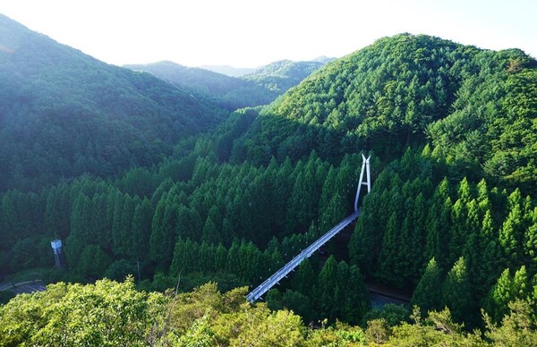 장태산 자연휴양림