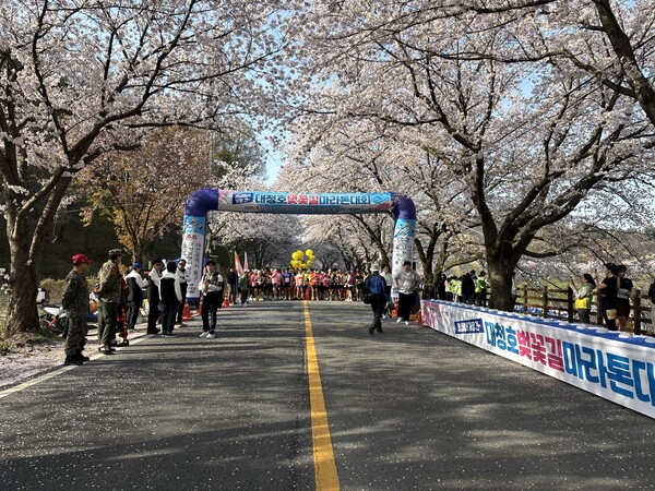 2025 대청호 벚꽃길 마라톤대회가 12일 대전 동구 벚꽃한터에서 열렸다. 사진 = 이성재 기자 