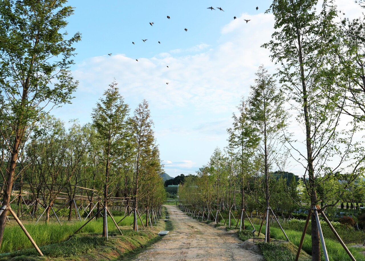 기후대응도시숲 충주 호암지