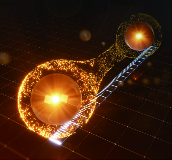 연세대학교 김근수 교수 제공 