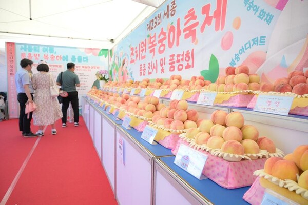 충청 관광 관련 자료사진 기사와 직접적인 연관 없습니다. 