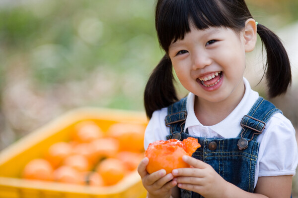 클립아트코리아 제공.