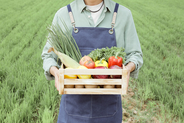 클립아트코리아 제공.