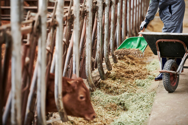 클립아트코리아 제공