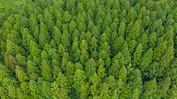 실제 현장과는 무관한 사진 = 클립아트코리아 제공.